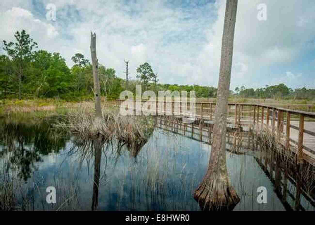 A Boardwalk Leading Into The Bon Secour National Wildlife Refuge Things To Do On Your Gulf Shores Alabama Vacation