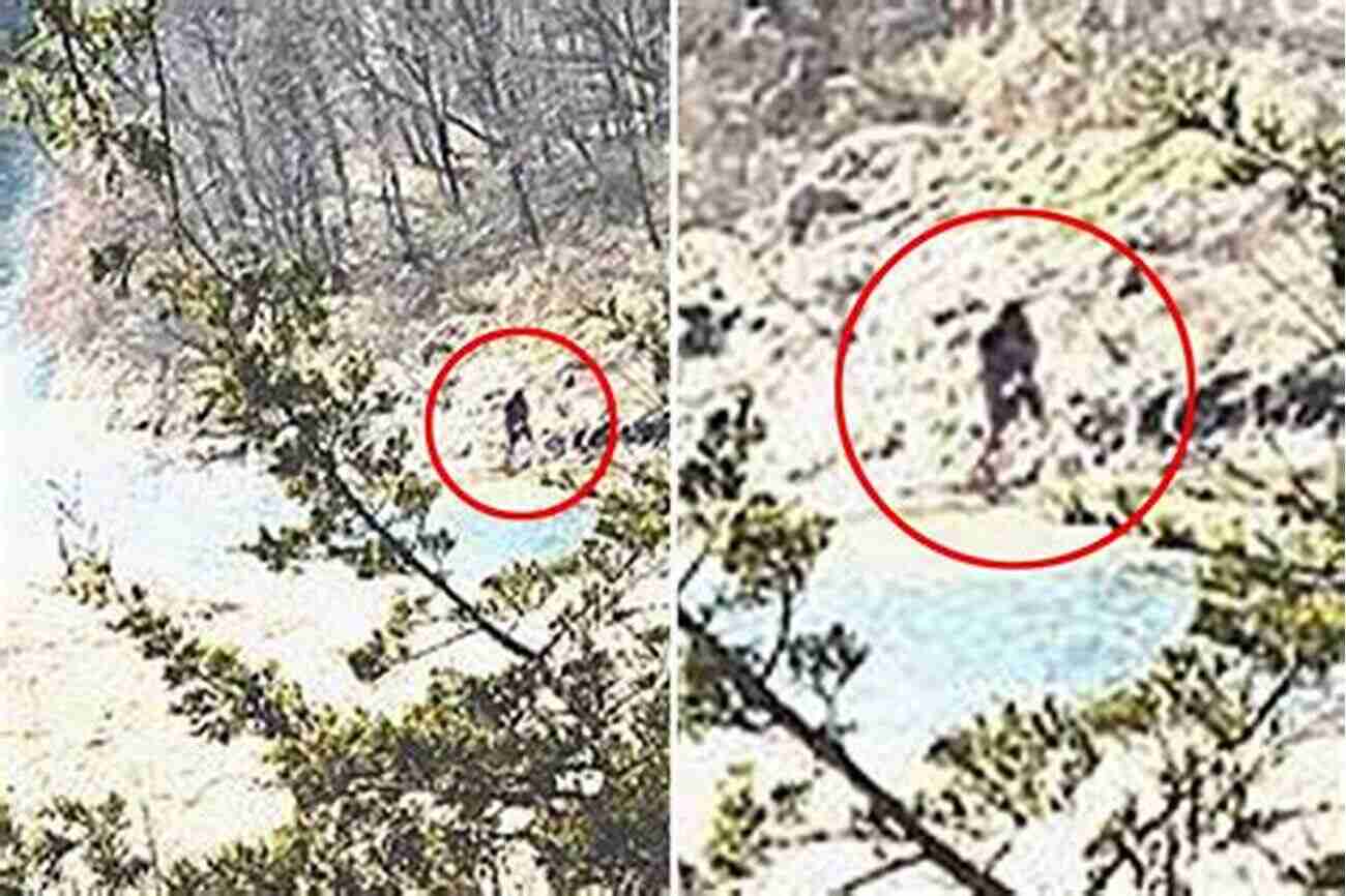 A Chilling Bigfoot Sighting Near A River The Essential Guide To Bigfoot