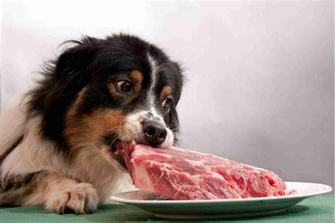 A Dog Happily Eating Raw Food Raw Feeding 101: Beginner S Raw Feeding Guide