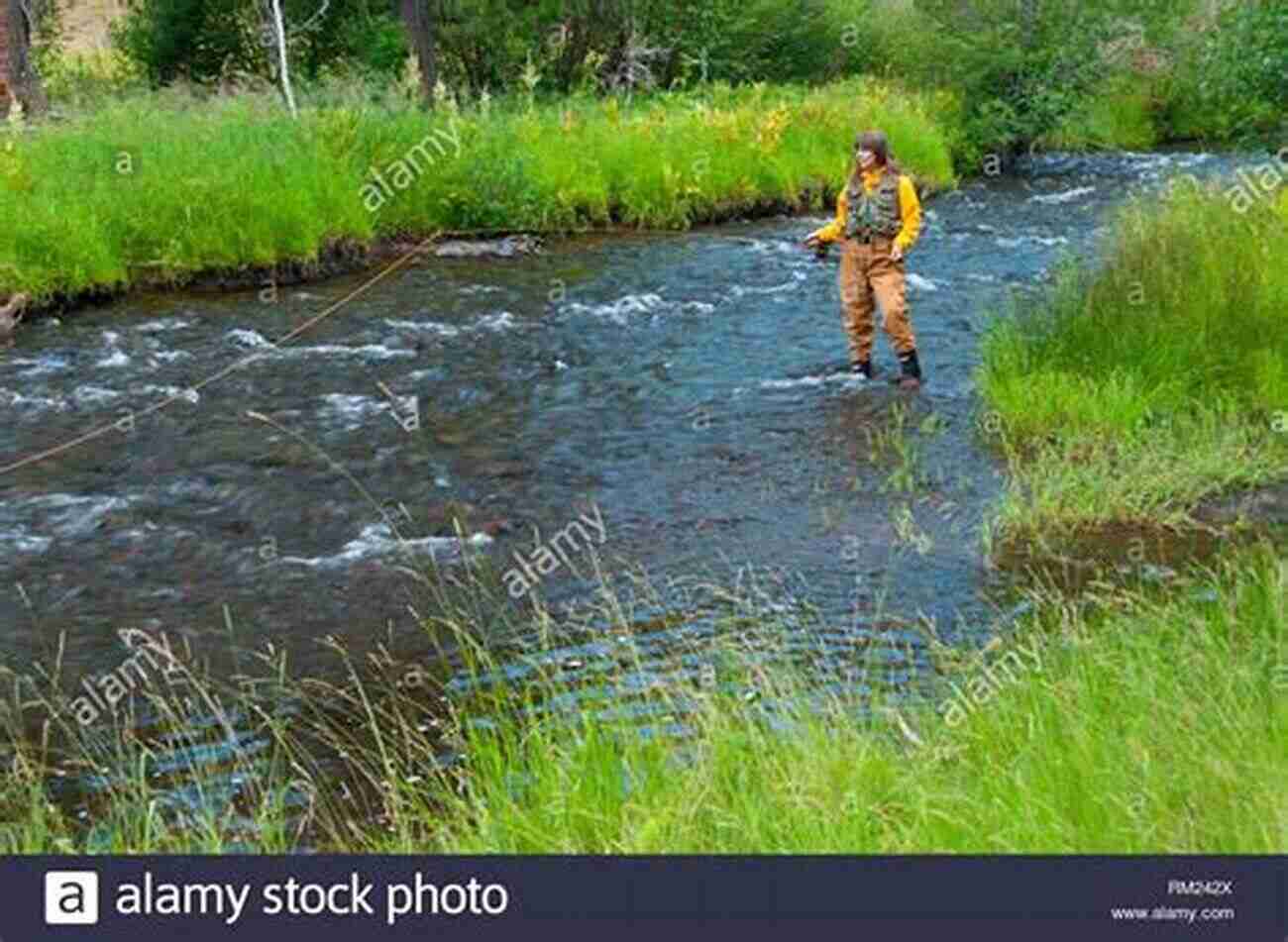 A Picturesque River Landscape For Fly Fishing Adventure In The Wilderness First Steps To Fly Fishing: The 1924 Classic Updated For Today