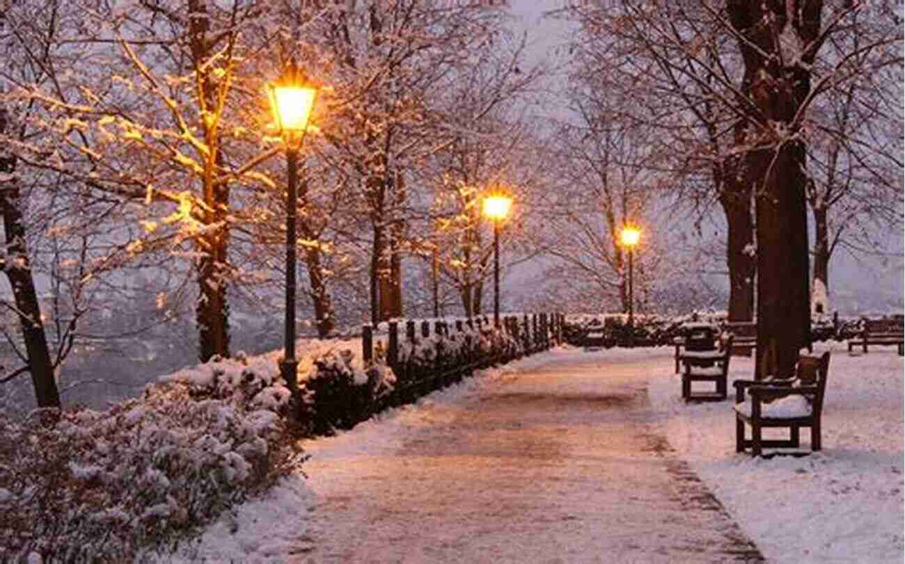 A Picturesque Winter Scene In A Local Park WINTER STORY: With Fabrizia Pons