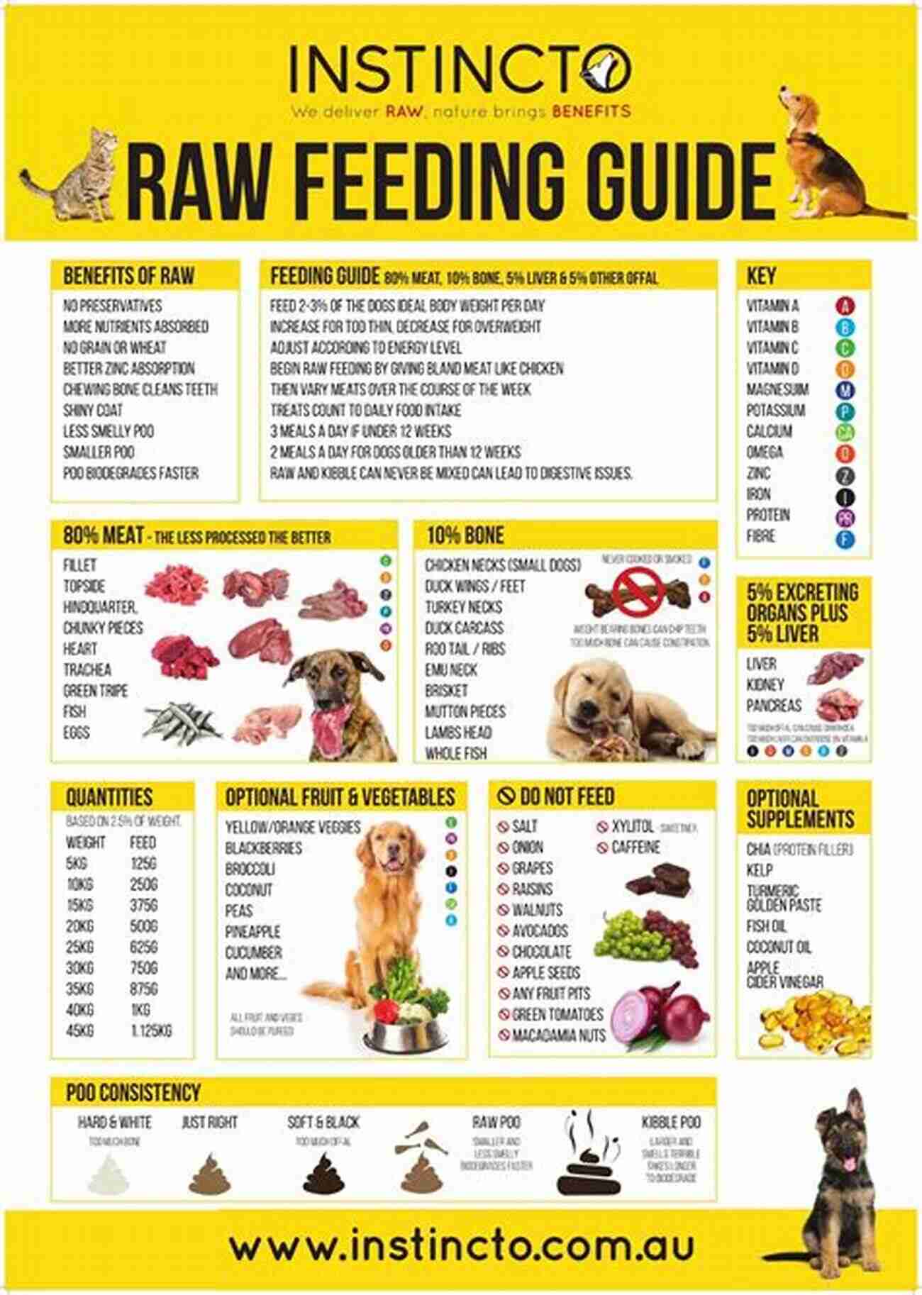 A Raw Feeding Guide For Beginners Raw Feeding 101: Beginner S Raw Feeding Guide