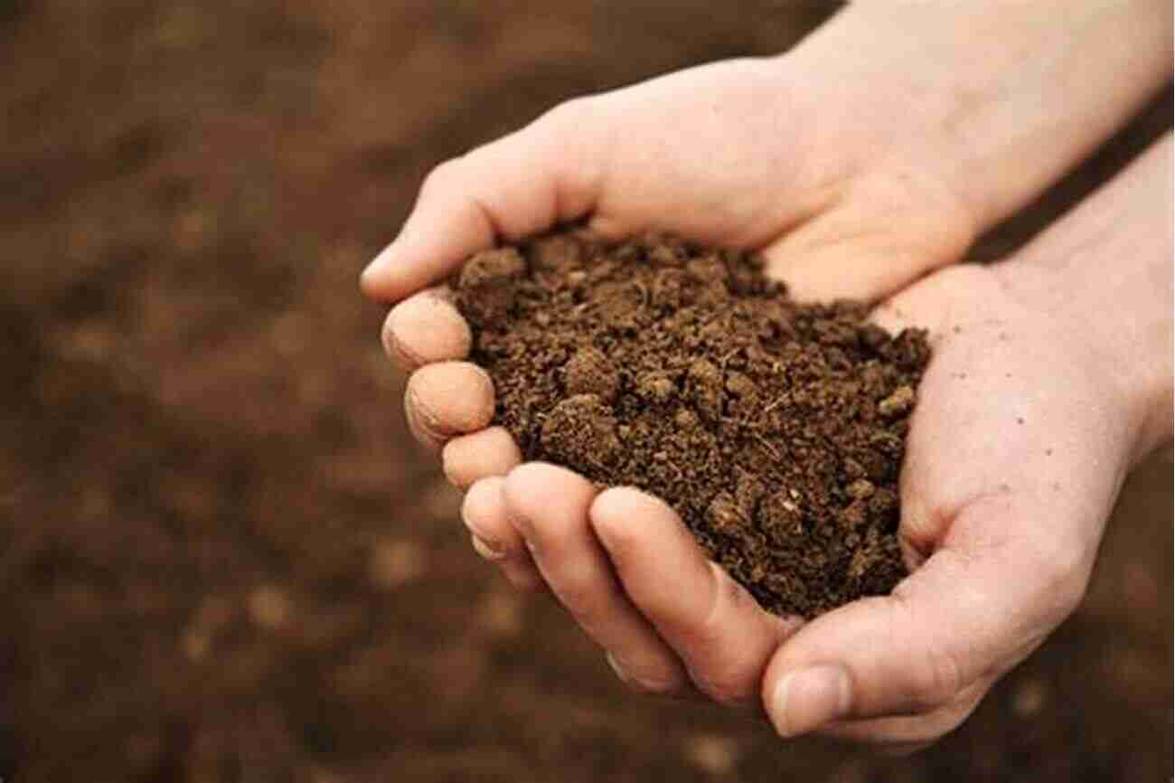 A Rich Brown Soil Full Of Life And Potential Thinking With Soils: Material Politics And Social Theory