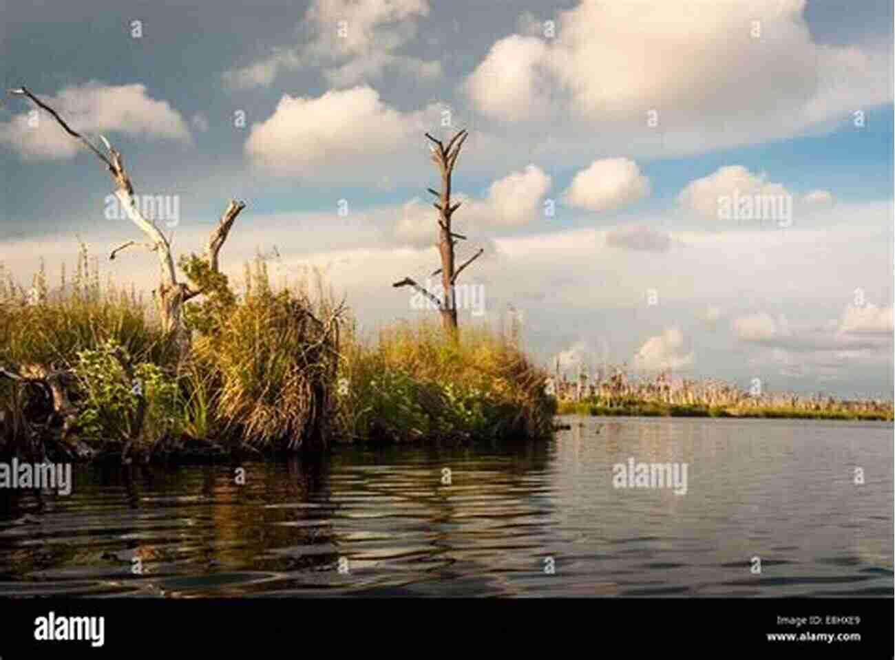 A Scenic View Of Gulf State Park Things To Do On Your Gulf Shores Alabama Vacation