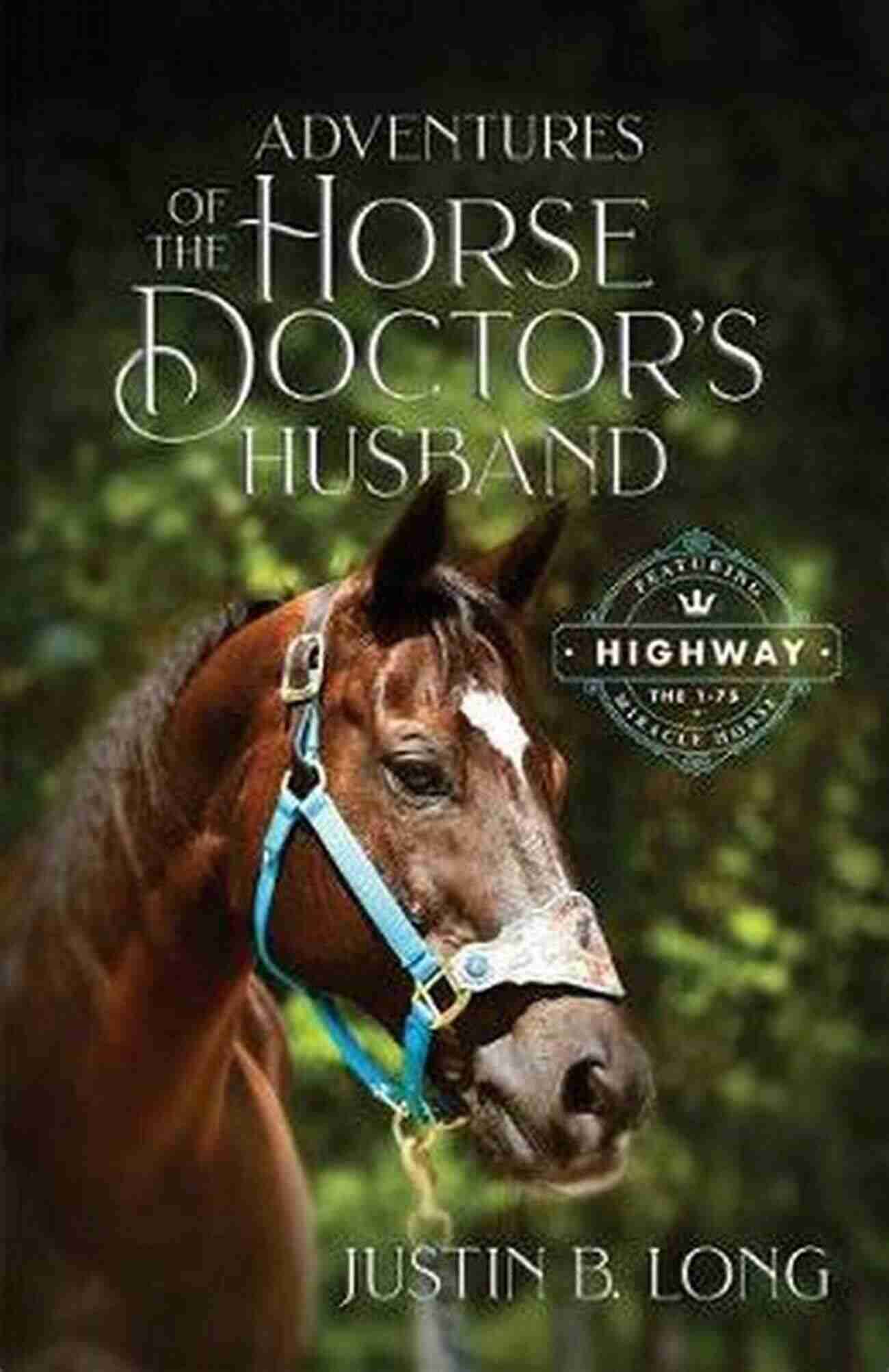 Adventures Of The Horse Doctor Husband A Man In Scrubs Caring For Majestic Equines Adventures Of The Horse Doctor S Husband