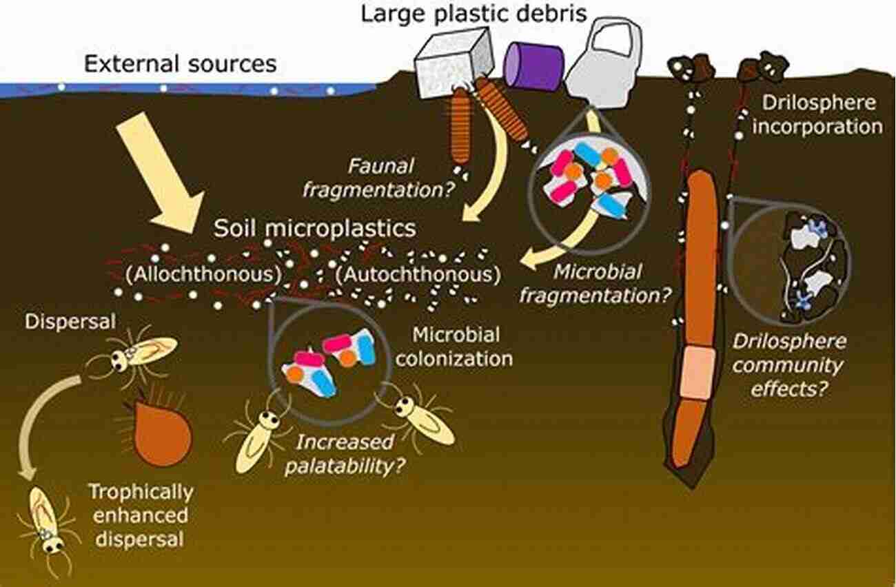 Analyzing The Impact Of Soil Processes On Water Quality Soil Processes And Water Quality (Advances In Soil Science)