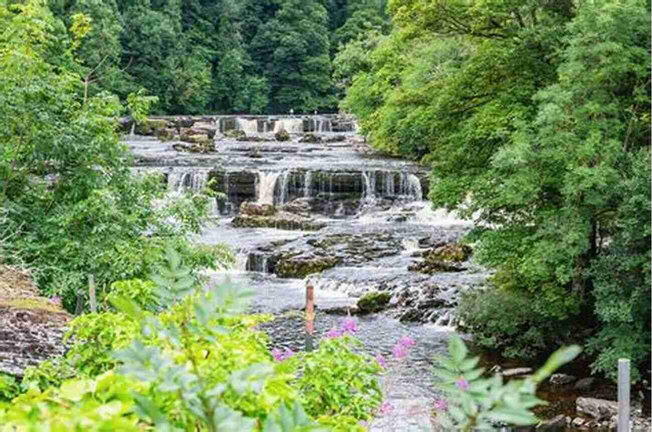 Aysgarth Falls A Series Of Waterfalls On The River Ure 50 Gems Of The Yorkshire Dales