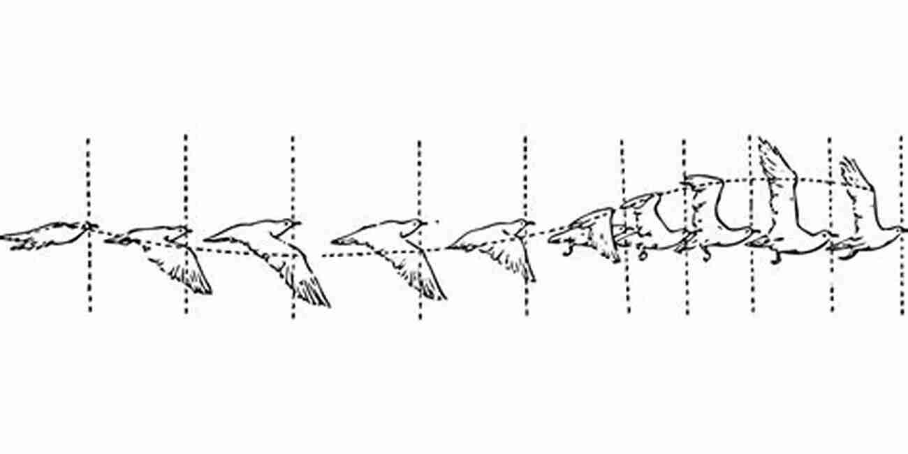 Bird In Flight Comparative Biomechanics: Life S Physical World Second Edition