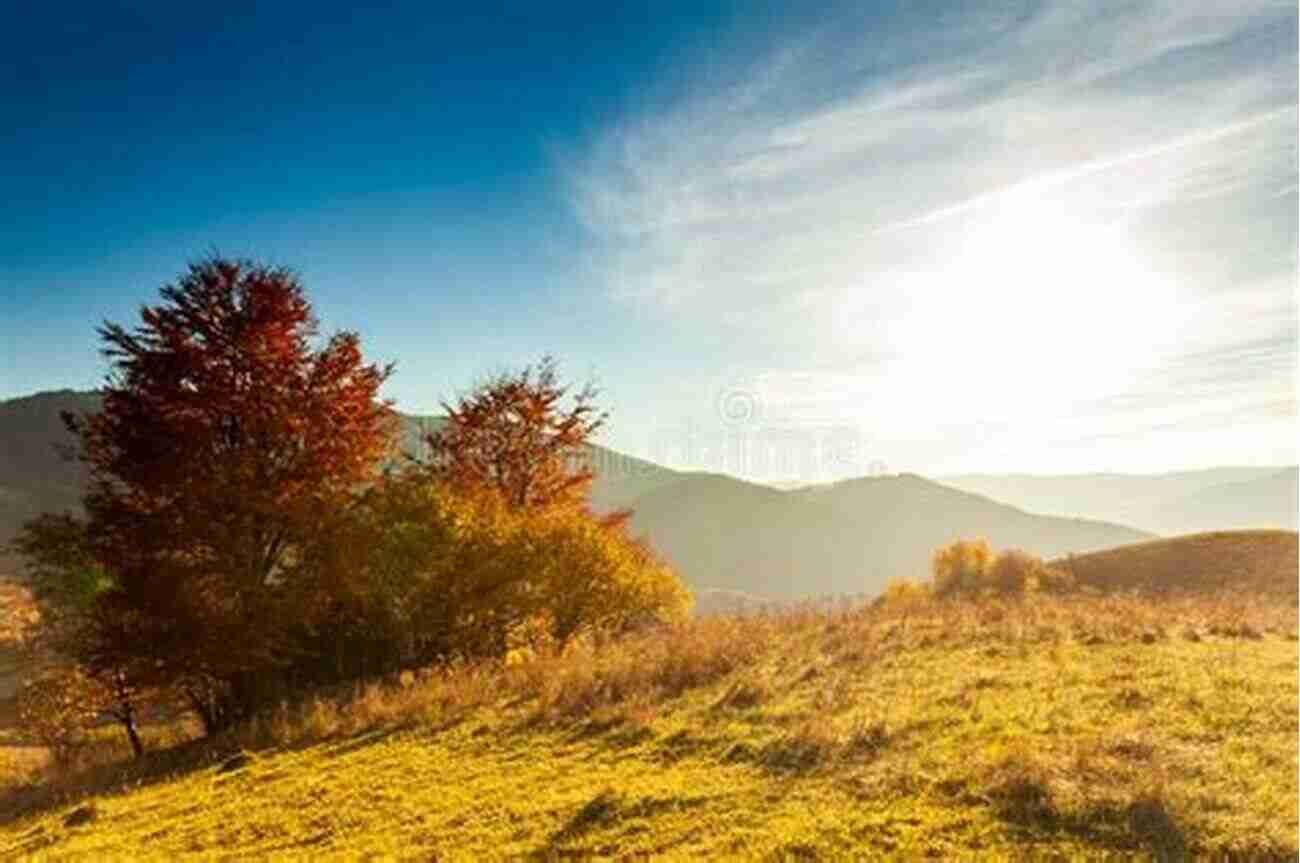 Breathtaking View Of The Ukrainian Countryside With Rolling Hills And Vibrant Fields Ukraine: Trip Two Paul Gogarty