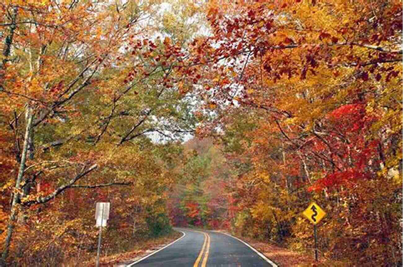 Calhoun County Nature Park Calhoun County (Images Of America)