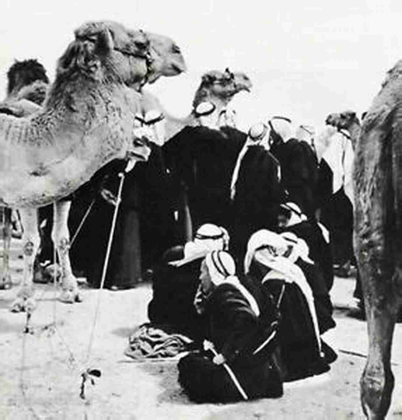 Camels In Beersheba Desert 12 Cities In Israel BODY CLOTHING Modern Hebrew Flashcards: Learn The Parts Of The Body Clothing Colors In Hebrew