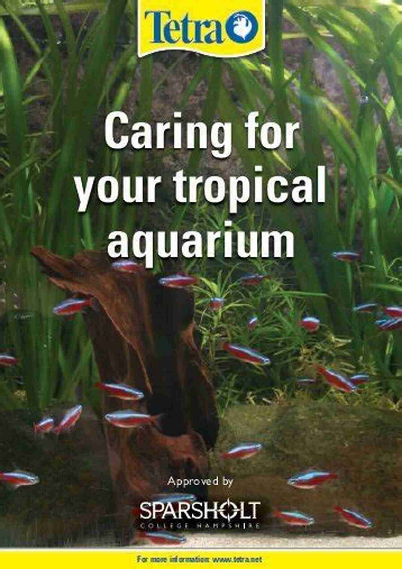 Caring For Your Tropical Aquarium Seriously Fishy: A No Nonsense Beginners Guide To Your First Tropical Aquarium