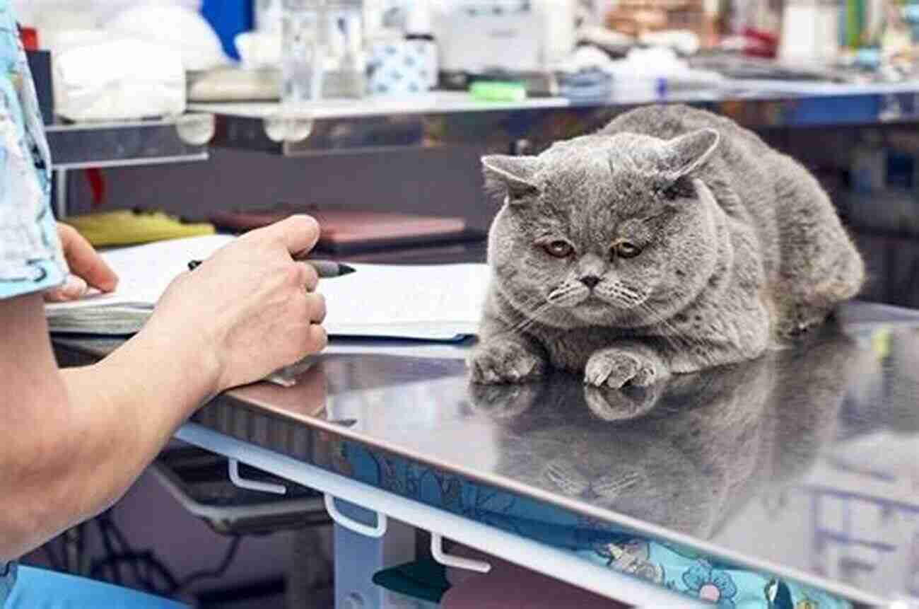 Cat Health An Image Displaying A Veterinarian Conducting A Check Up On A Cat The Cat Encyclopedia: The Definitive Visual Guide