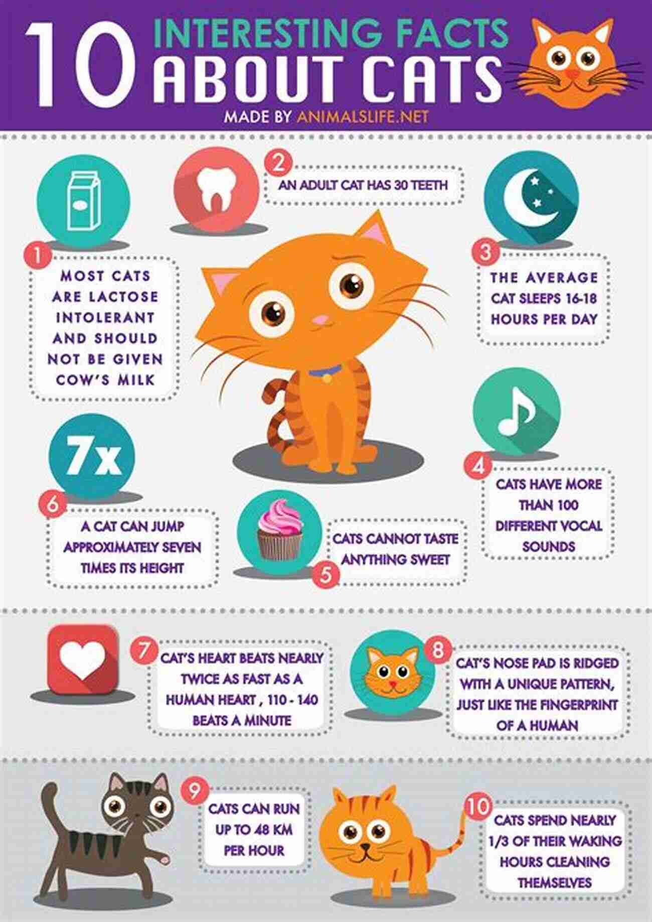 Cat Trivia A Fun Image Featuring Interesting Cat Trivia The Cat Encyclopedia: The Definitive Visual Guide