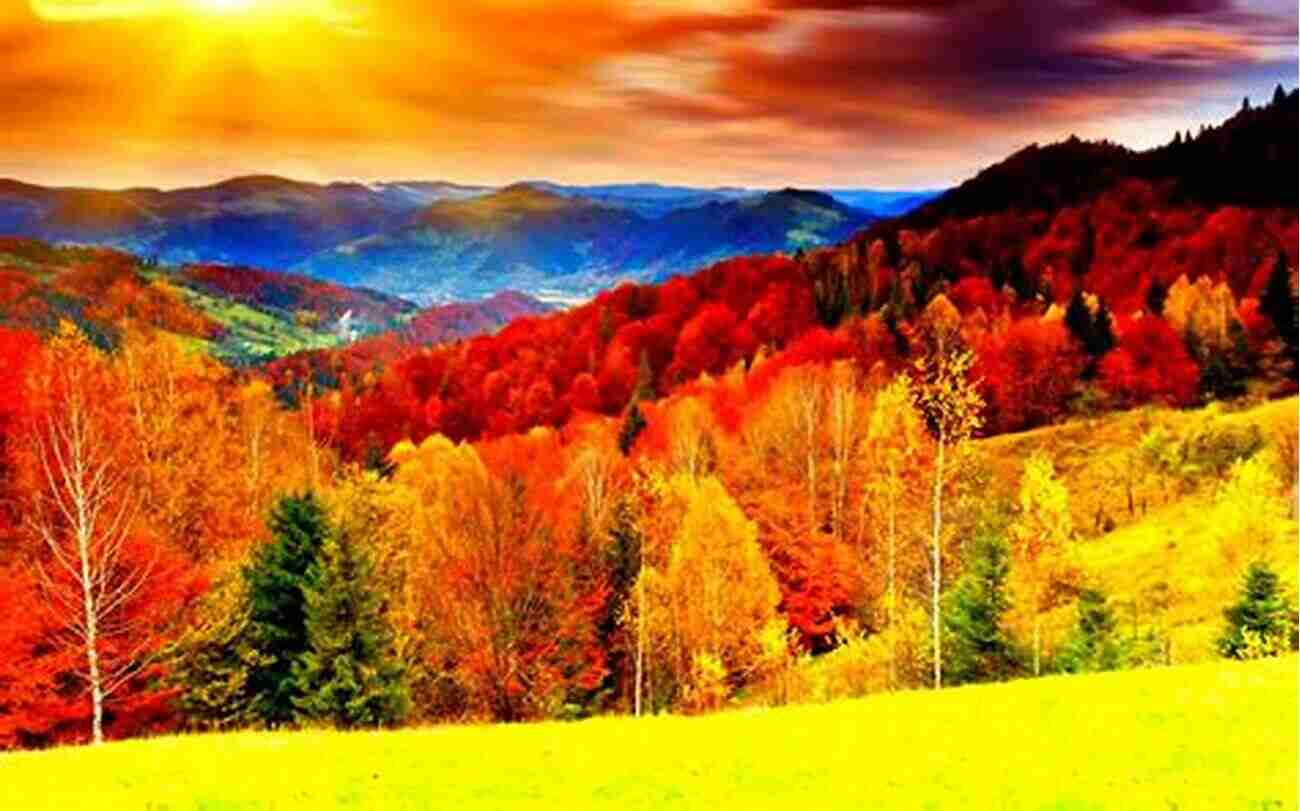 Colorful Autumn Foliage In A Forest Breath Of Joy: Ah Autumn