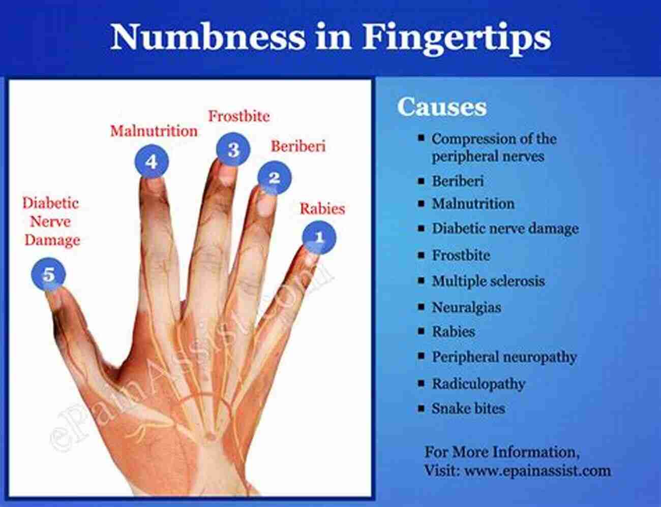 Connection At Your Fingertips Mobile Apps: A Medical Professional S Starter Guide: Connection At Your Fingertips