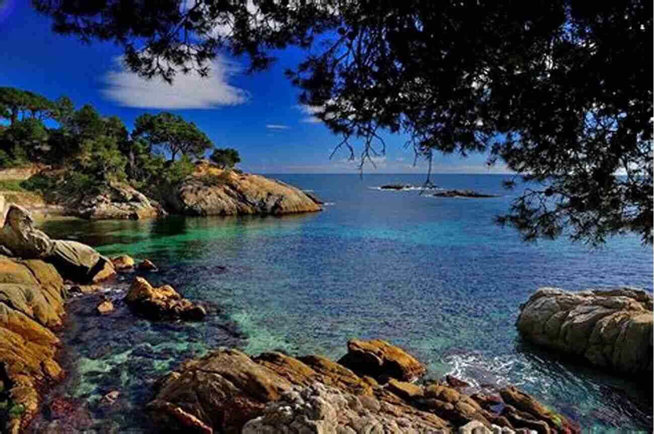 Costa Brava Breathtaking Beaches In Catalonia DK Eyewitness Barcelona And Catalonia (Travel Guide)