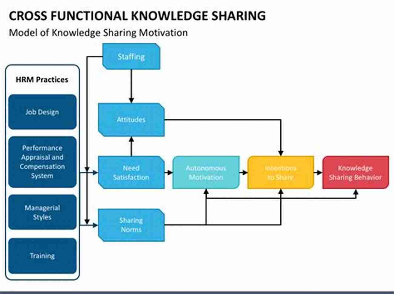 Cross Functional Knowledge Management A Collaboration Of Experts Sharing Ideas Cross Functional Knowledge Management: The International Landscape (The Annals Of Business Research)