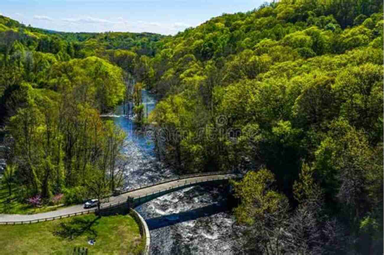 Croton River With Lush Green Surroundings Black Bass Where To Catch Them In Quantity Within An Hour S Ride From New York