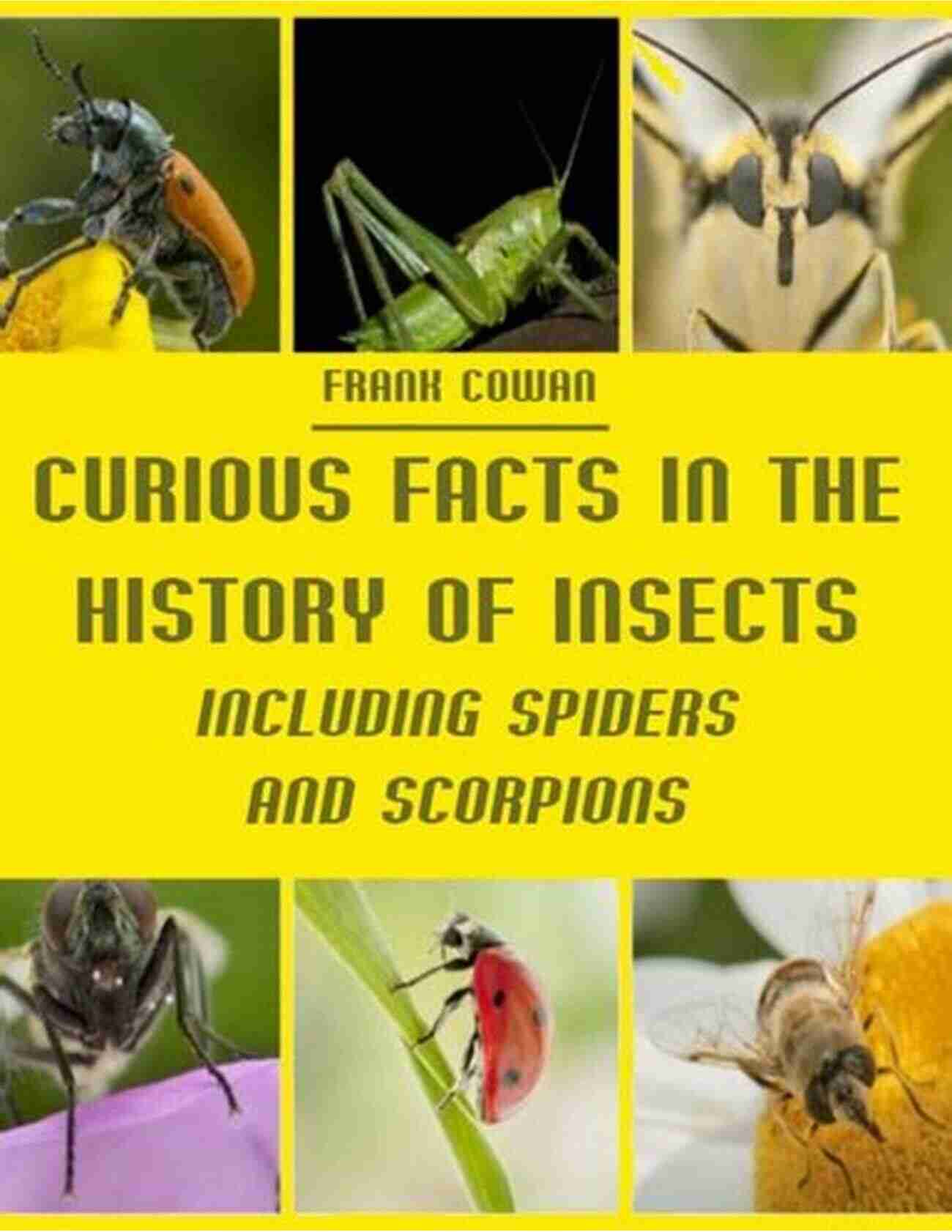 Curious Facts In The History Of Insects Including Spiders And Scorpions Curious Facts In The History Of Insects Including Spiders And Scorpions A Complete Collection Of The Legends Superstitions Beliefs And Ominous Signs Their Remarkable Injuries And Appearances