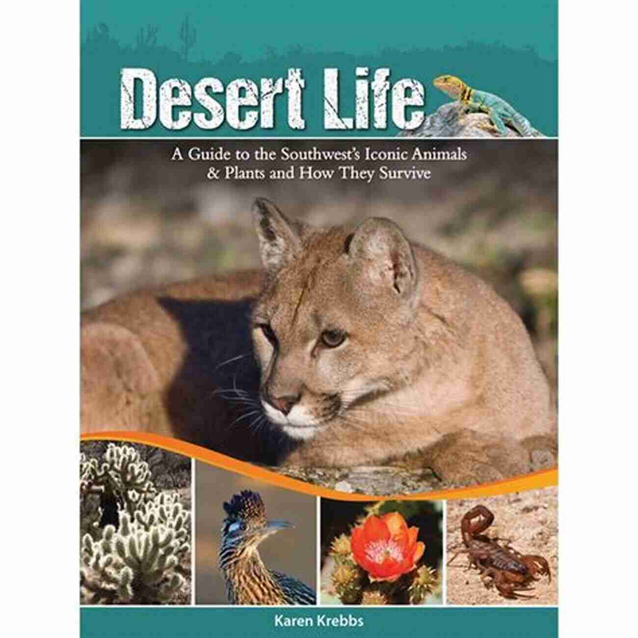 Desert Bighorn Sheep Desert Life: A Guide To The Southwest S Iconic Animals Plants And How They Survive