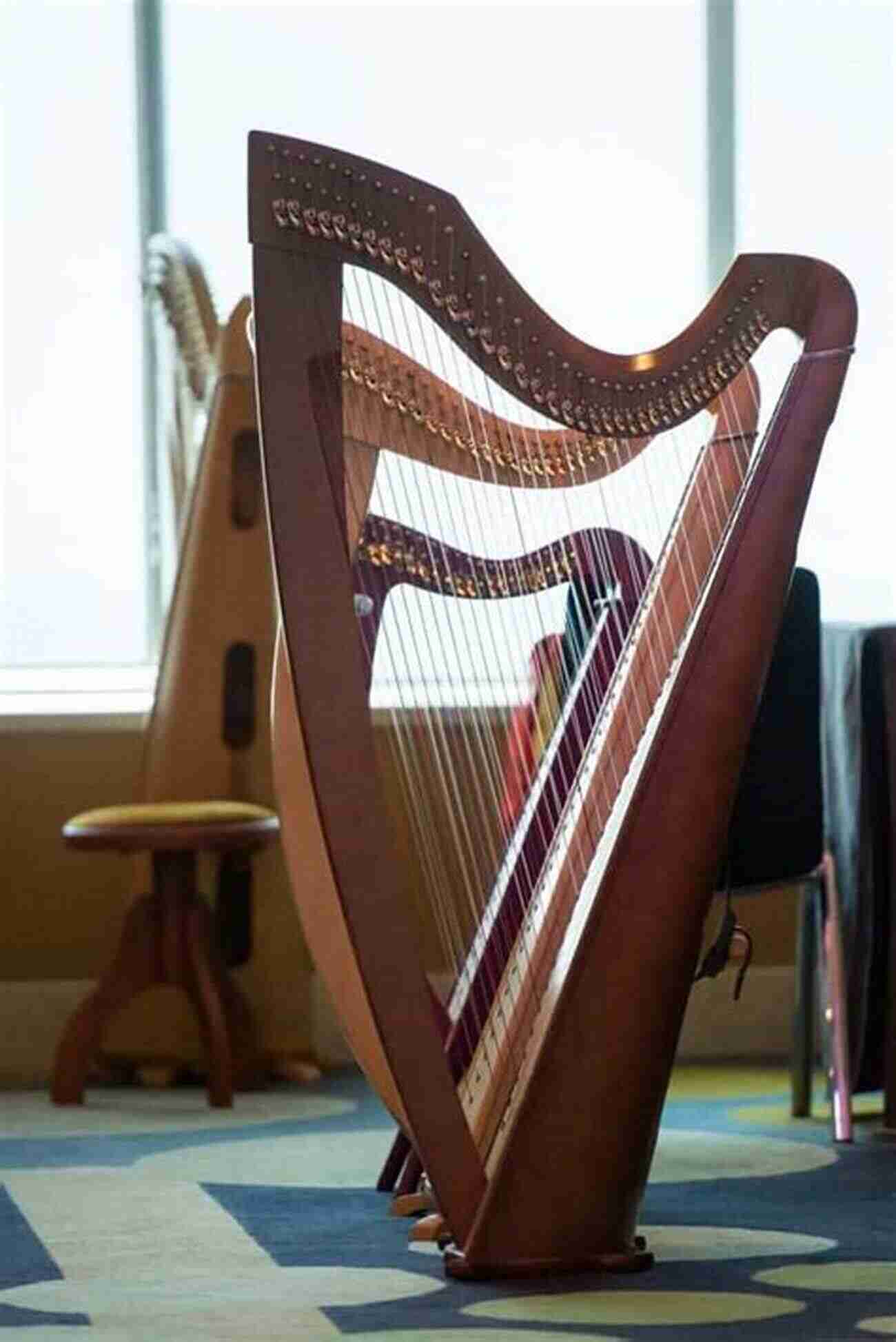 Different Types Of Harps How To Play The Harp: Basic Guide For Beginners