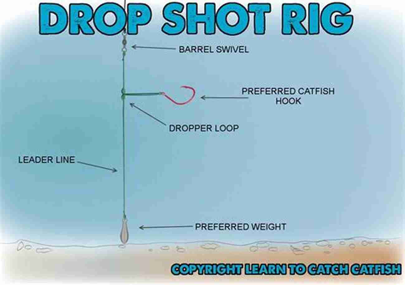 Drop Shot Rig Diagram For Finesse Fishing Fishing Rigs: Rig Diagrams And Descriptions