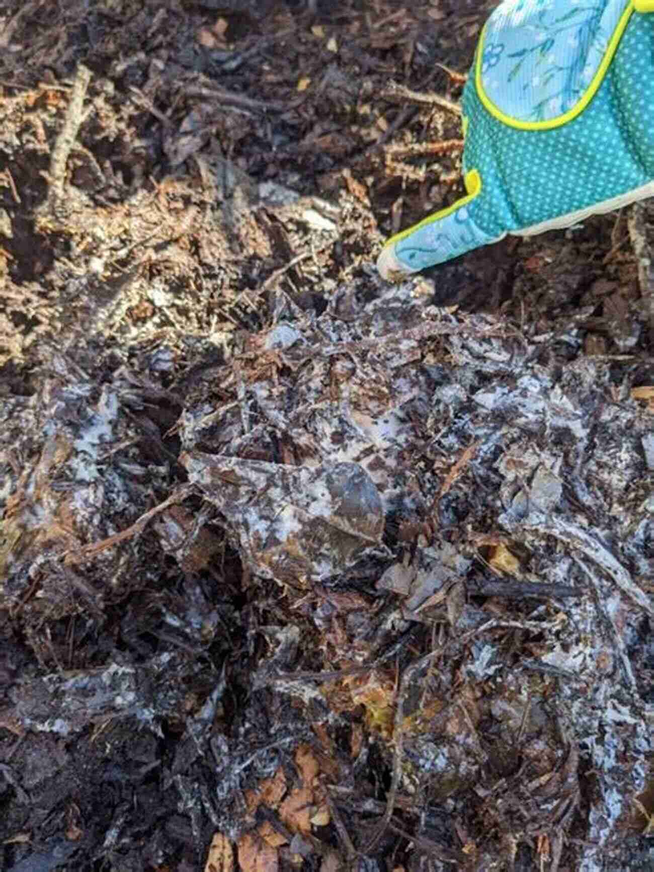 Earthworms: The Unsung Heroes Of The Composting Process The Secret Life Of Compost: A Guide To Static Pile Composting Lawn Garden Feedlot Or Farm