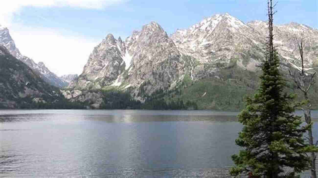 Enjoy A Scenic Drive At Jenny Lake Dirt Cheap Photo Guide To Grand Teton National Park