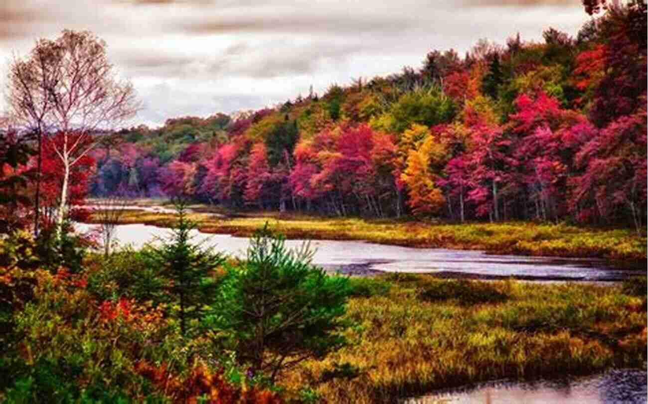 Enjoy Hiking With Friends In New York's Beautiful Landscapes Hiking Waterfalls In New York: A Guide To The State S Best Waterfall Hikes