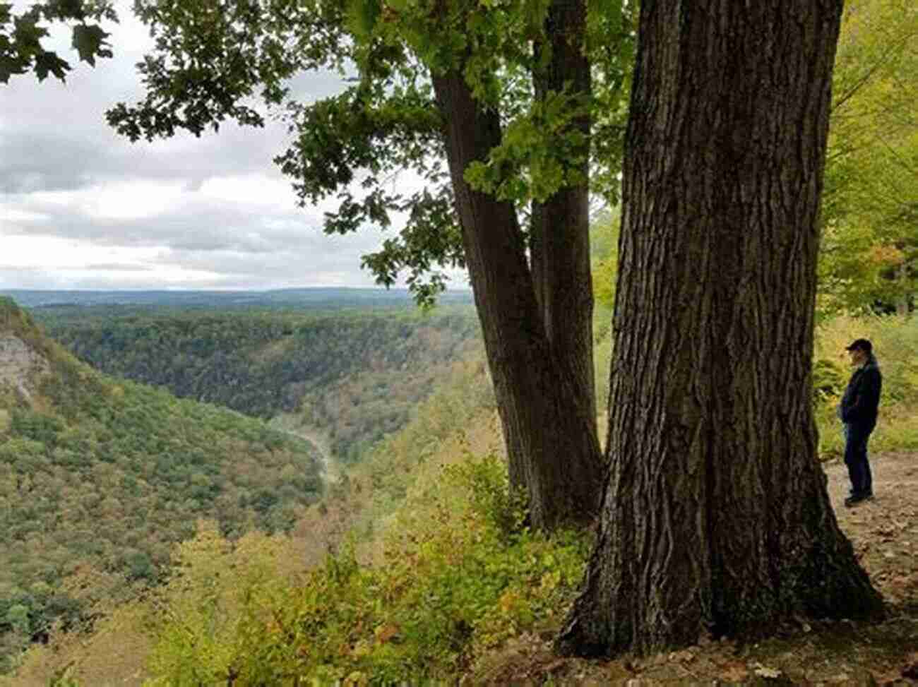 Experience The Grandeur Of Letchworth State Park Hiking Waterfalls In New York: A Guide To The State S Best Waterfall Hikes