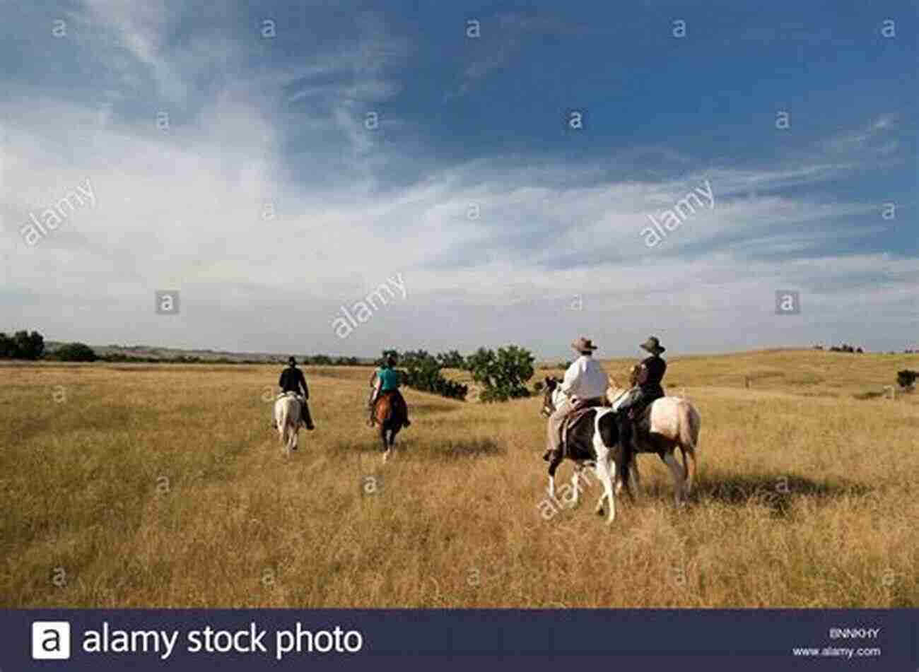 Experience The Thrill Of Horseback Riding At Pine Hollow 15 Amidst Stunning Landscapes And Beautiful Scenery. Setting The Pace (Pine Hollow 15)