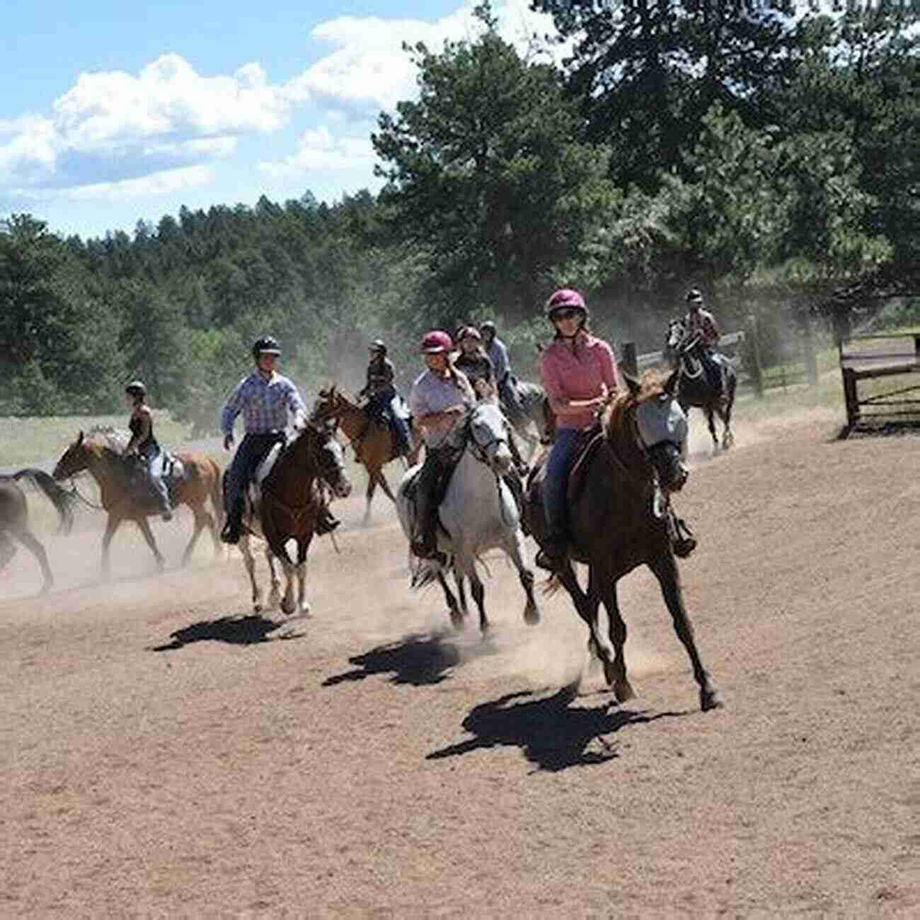 Experience The Thrill Of Horseback Riding At Pine Hollow 15, The Ultimate Adventure Destination For Equestrian Enthusiasts. Setting The Pace (Pine Hollow 15)