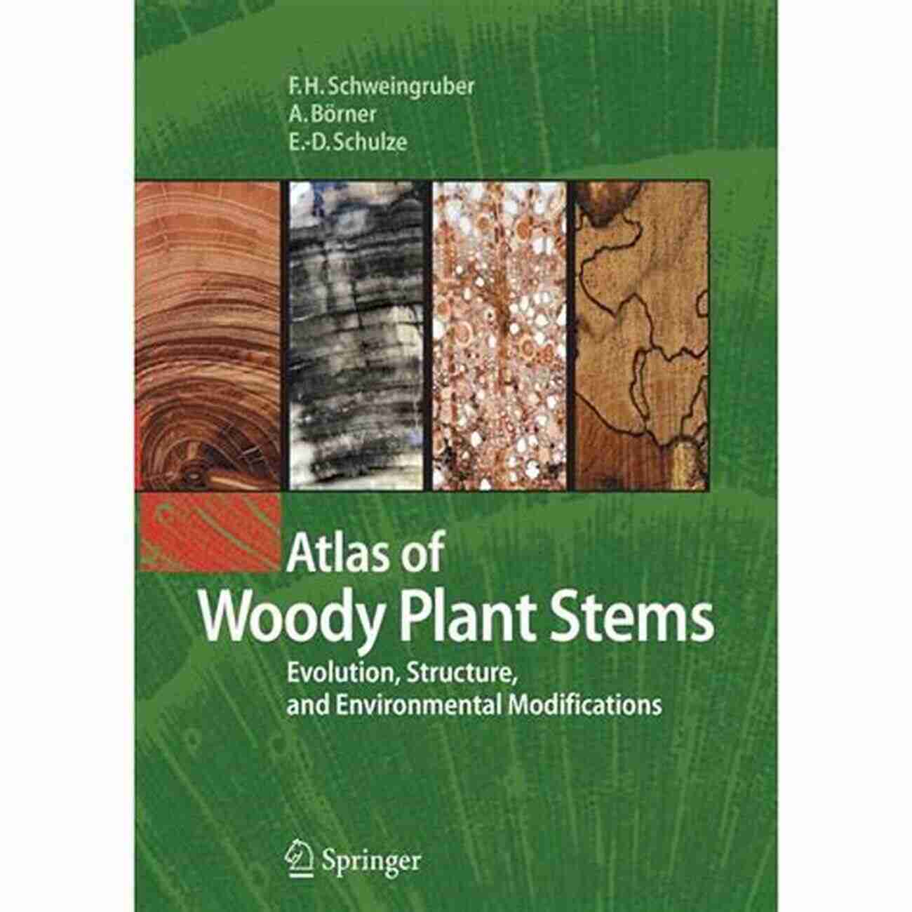 Explore The Diverse Range Of Woody Plant Stems In The Ultimate Atlas. Atlas Of Woody Plant Stems: Evolution Structure And Environmental Modifications