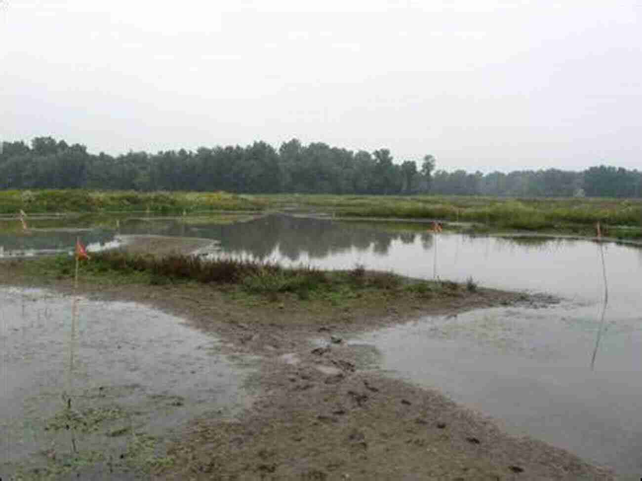 Fishing In Sni A Bar Creek In Lafayette County Lafayette County Missouri Fishing Floating Guide Book: Complete Fishing And Floating Information For Lafayette County Missouri (Missouri Fishing Floating Guide Books)