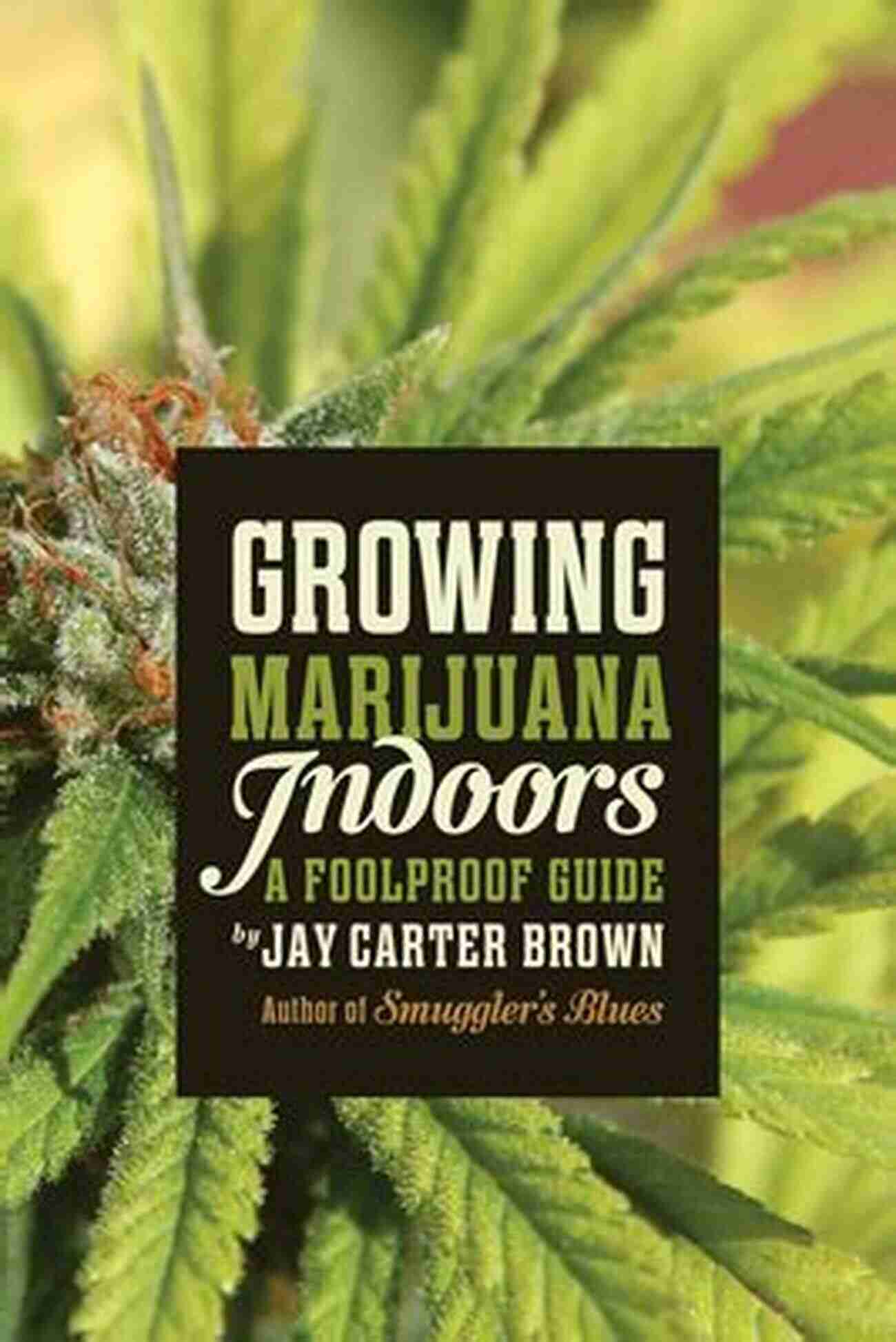 Foolproof Guide: Growing Marijuana Indoors Growing Marijuana Indoors: A Foolproof Guide