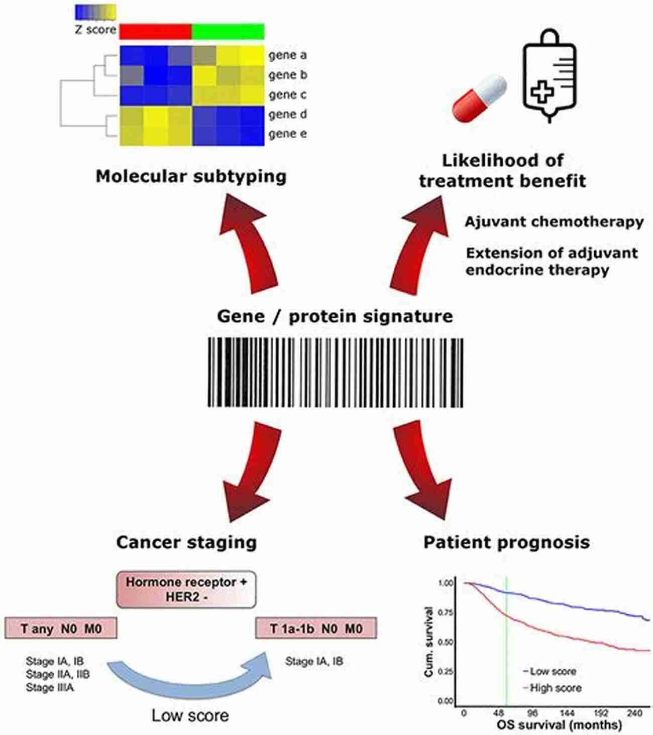 From Molecular Signatures To Applications: A Breakthrough In Scientific Research Nanoscale Fluid Transport: From Molecular Signatures To Applications (Springer Theses)