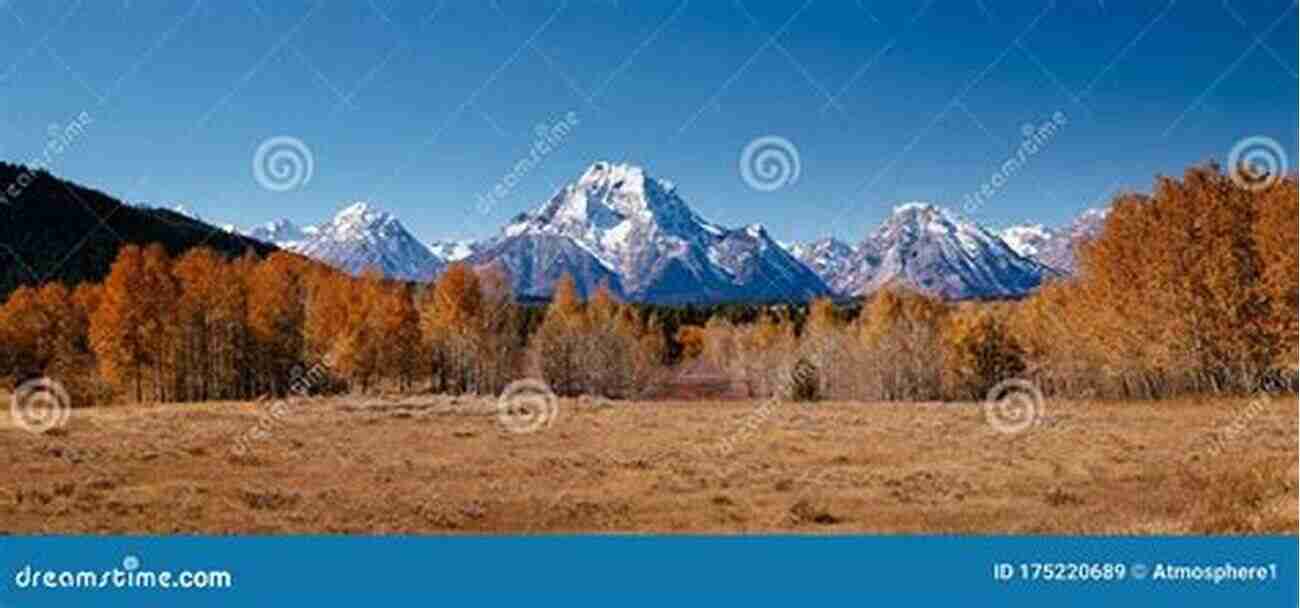 Get Up Close With Wildlife At Oxbow Bend Dirt Cheap Photo Guide To Grand Teton National Park