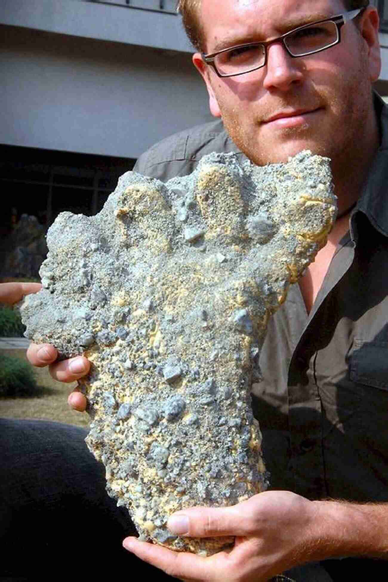 Giant Footprints Found In The Himalayas TRUE GIANTS: Is Gigantopithecus Still Alive?