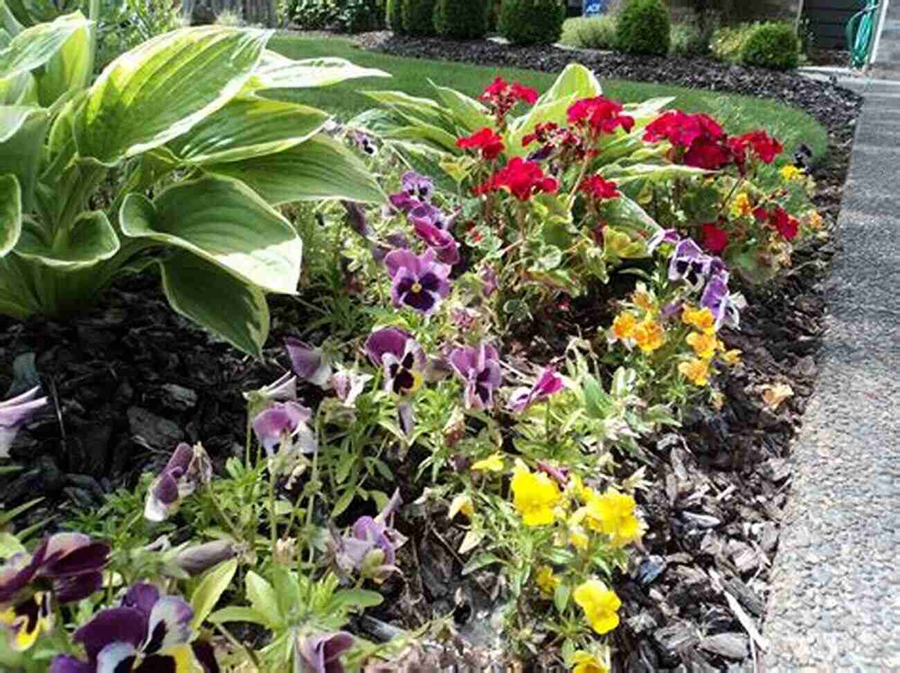 Glasgow Botanic Gardens A Floral Wonderland Bursting With Vibrant Colors. Glasgow Landscapes A Photographic Glimpse (Places To Visit 3)