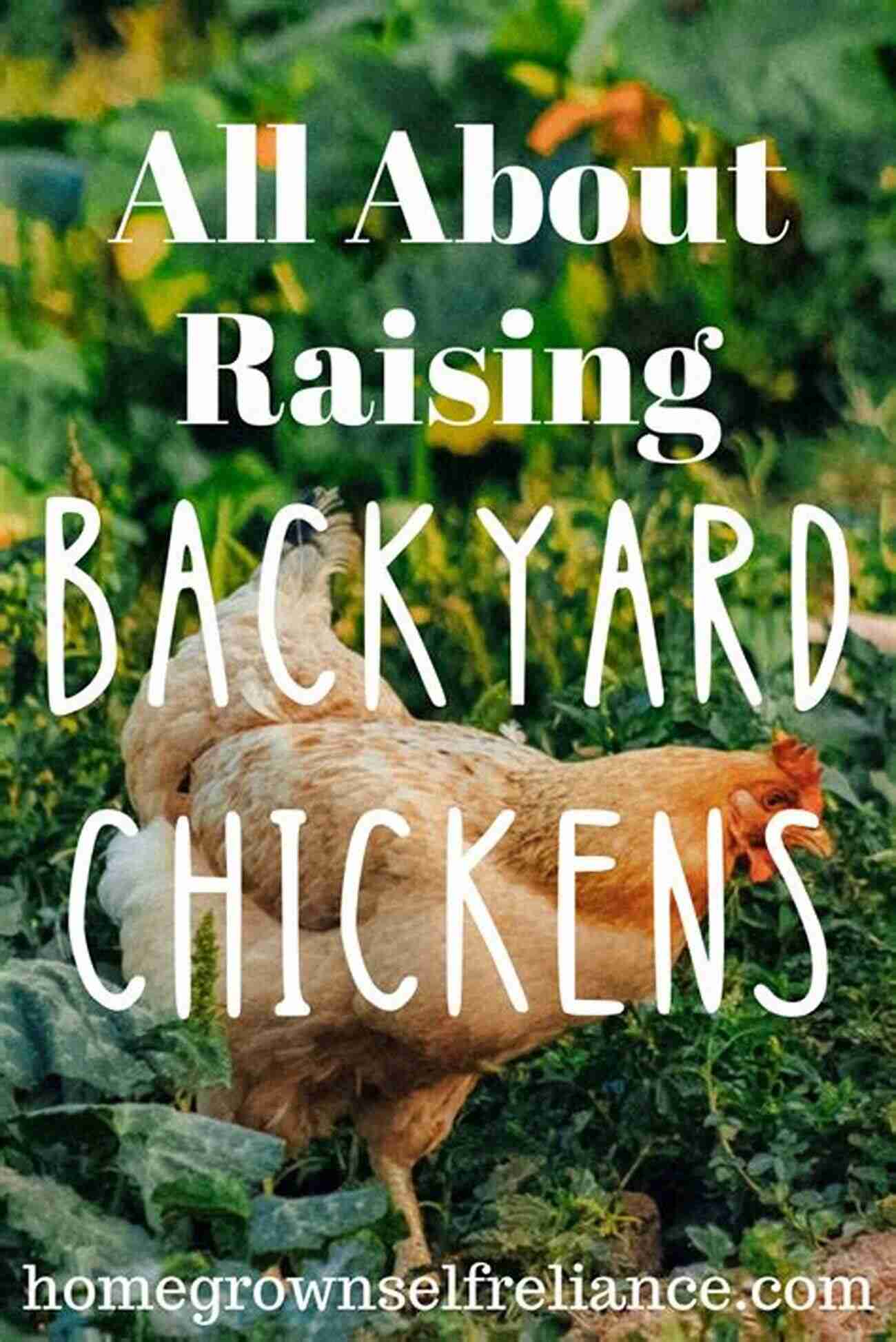 Happy Raising Chickens In Your Backyard For Beginners Happy Raising Chickens In Your Backyard For Beginners: How To Raising Chickens For Eggs In Your Own Garden 1x1 About Feed Equipment Costs And Care