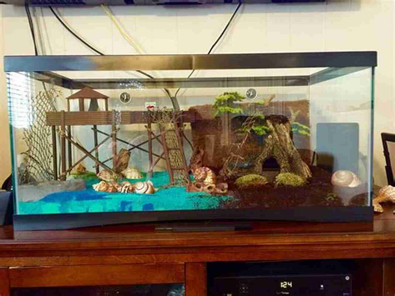 Hermit Crab Habitat With Sand, Shells, And Driftwood Hermit Crab Care: Habitat Food Health Behavior Shells And Lots More The Complete Hermit Crab Pet