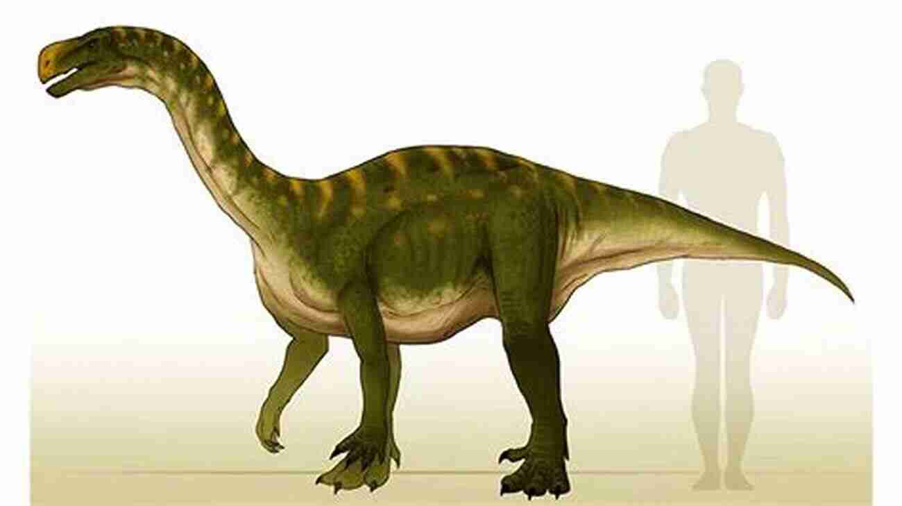 Illustration Of Aardonyx, A Long Necked Dinosaur With A Four Legged Stance. Dinosaurs The Grand Tour Second Edition: Everything Worth Knowing About Dinosaurs From Aardonyx To Zuniceratops