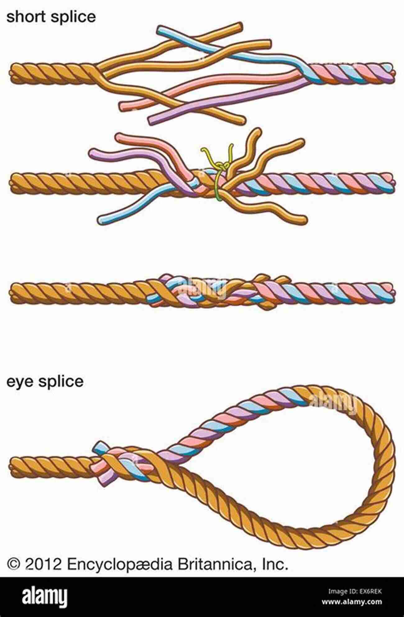 Illustration Of Various Knots And Splices Knots Splices And Rope Work The Classic And Complete Original Guide (Illustrated)