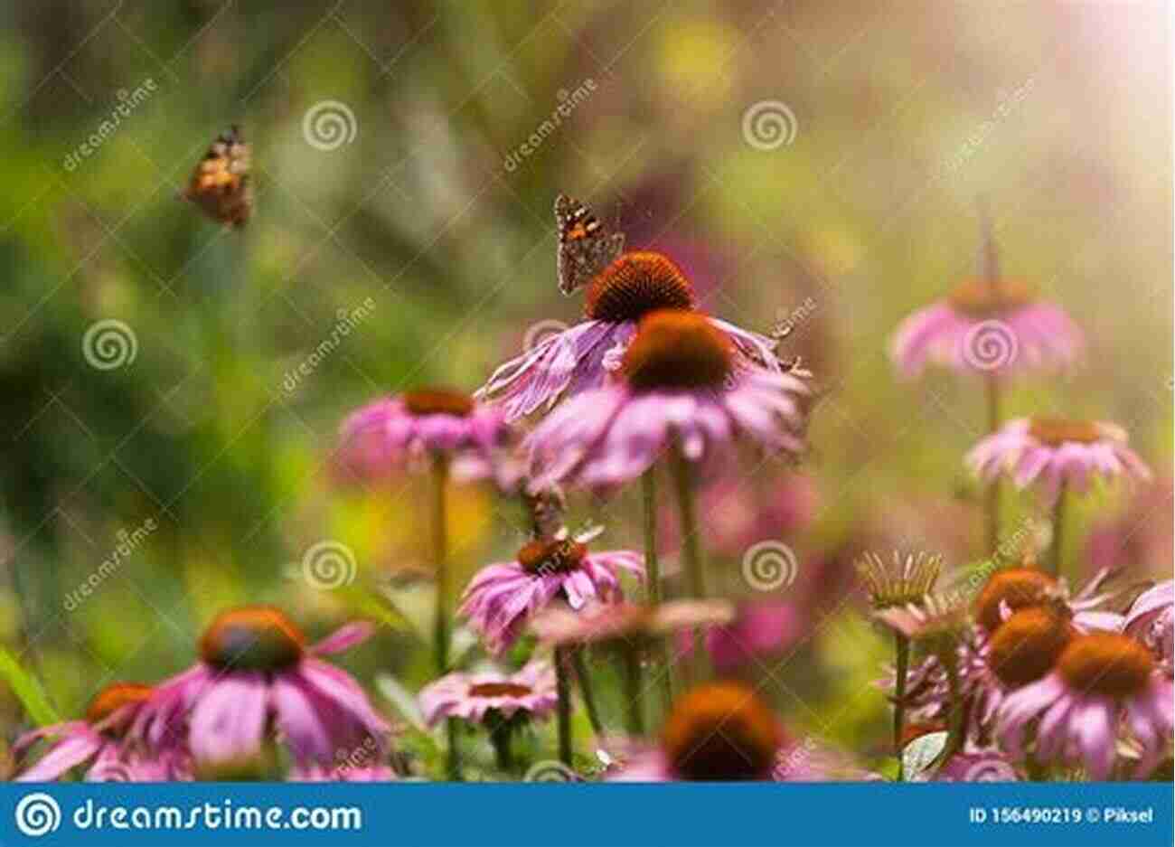 Image Of A Butterfly Pollinating A Wildflower Wildflower: A Tale Of Transcendence