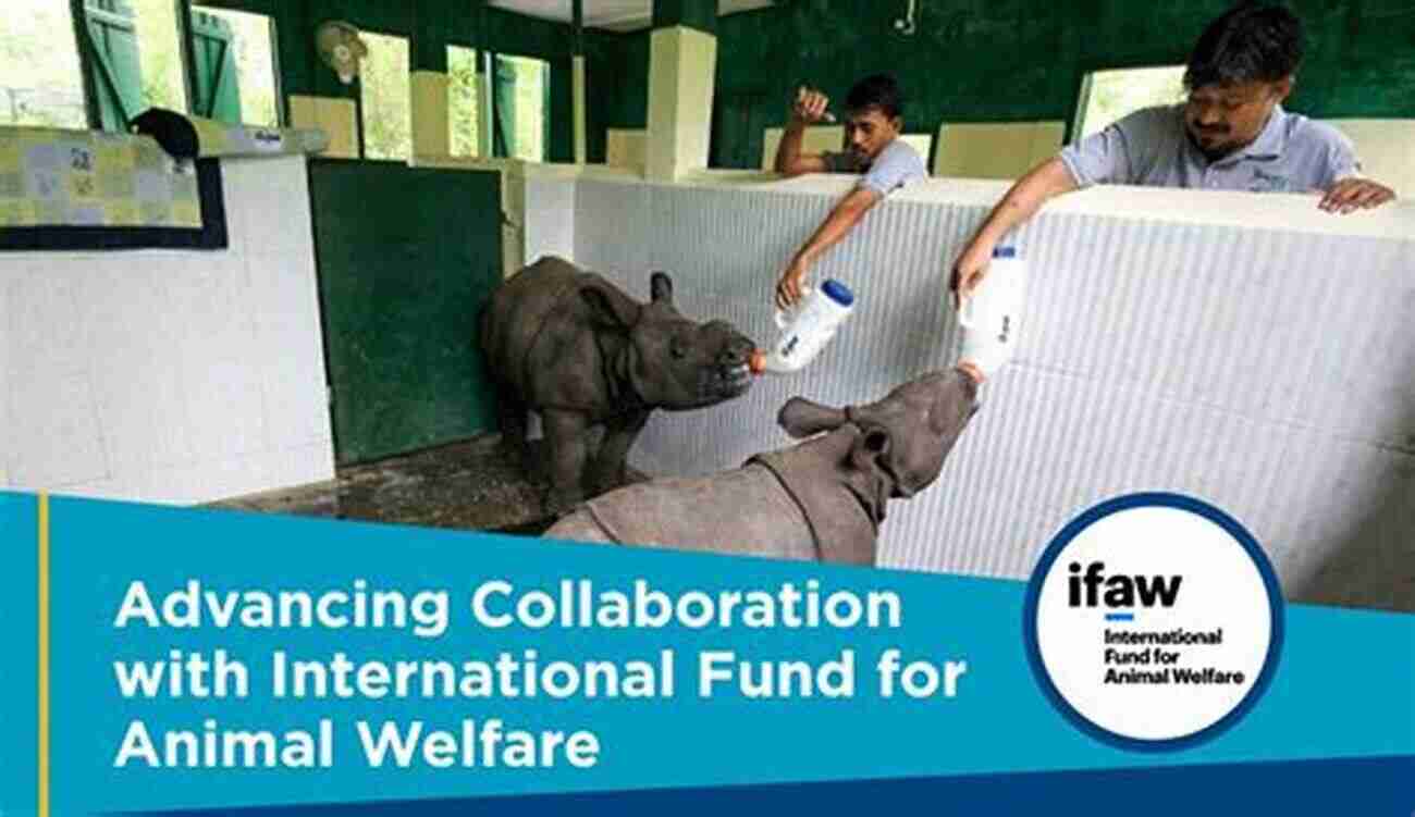 International Collaboration For Animal Welfare Diplomacy Funding And Animal Welfare