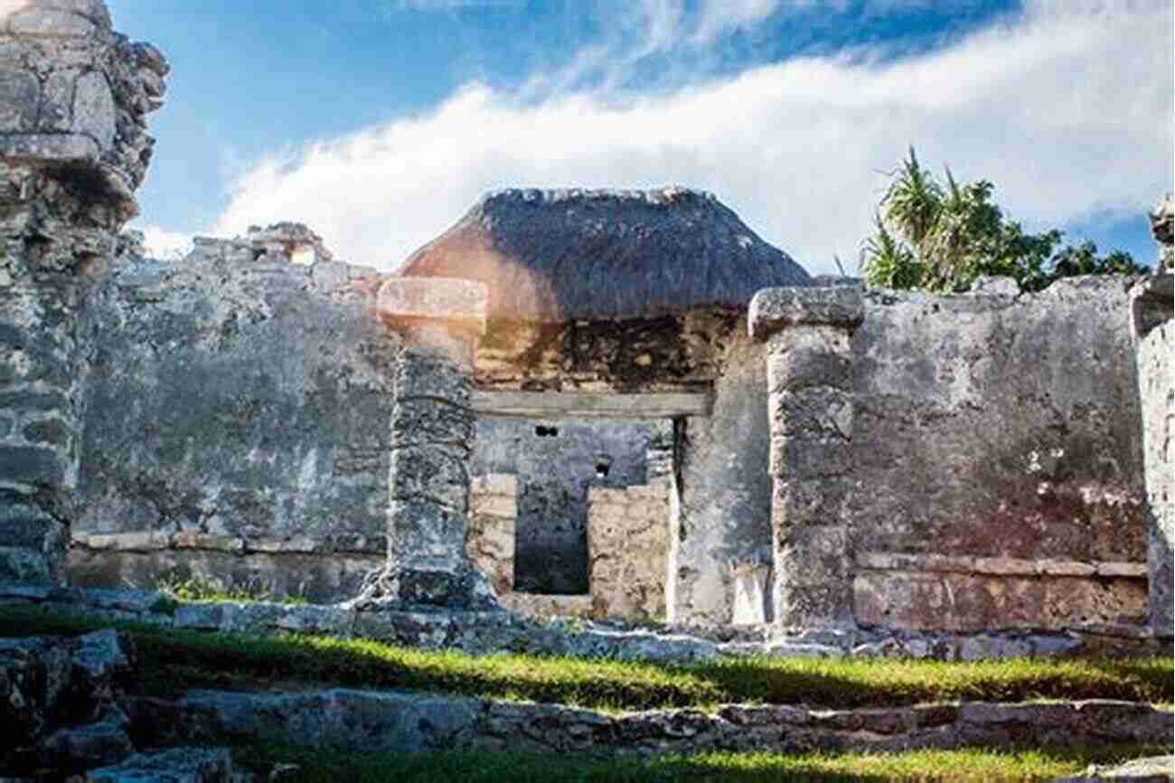 Jane Connor Exploring Maya Ruins The Artifact Hunters Jane O Connor