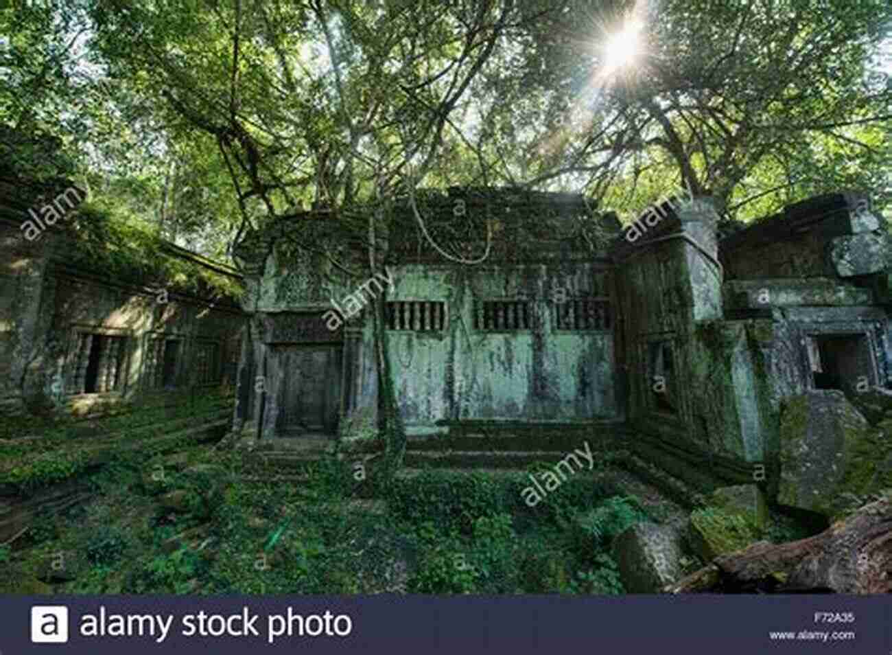 Jane Connor Exploring A Hidden Jungle Temple The Artifact Hunters Jane O Connor