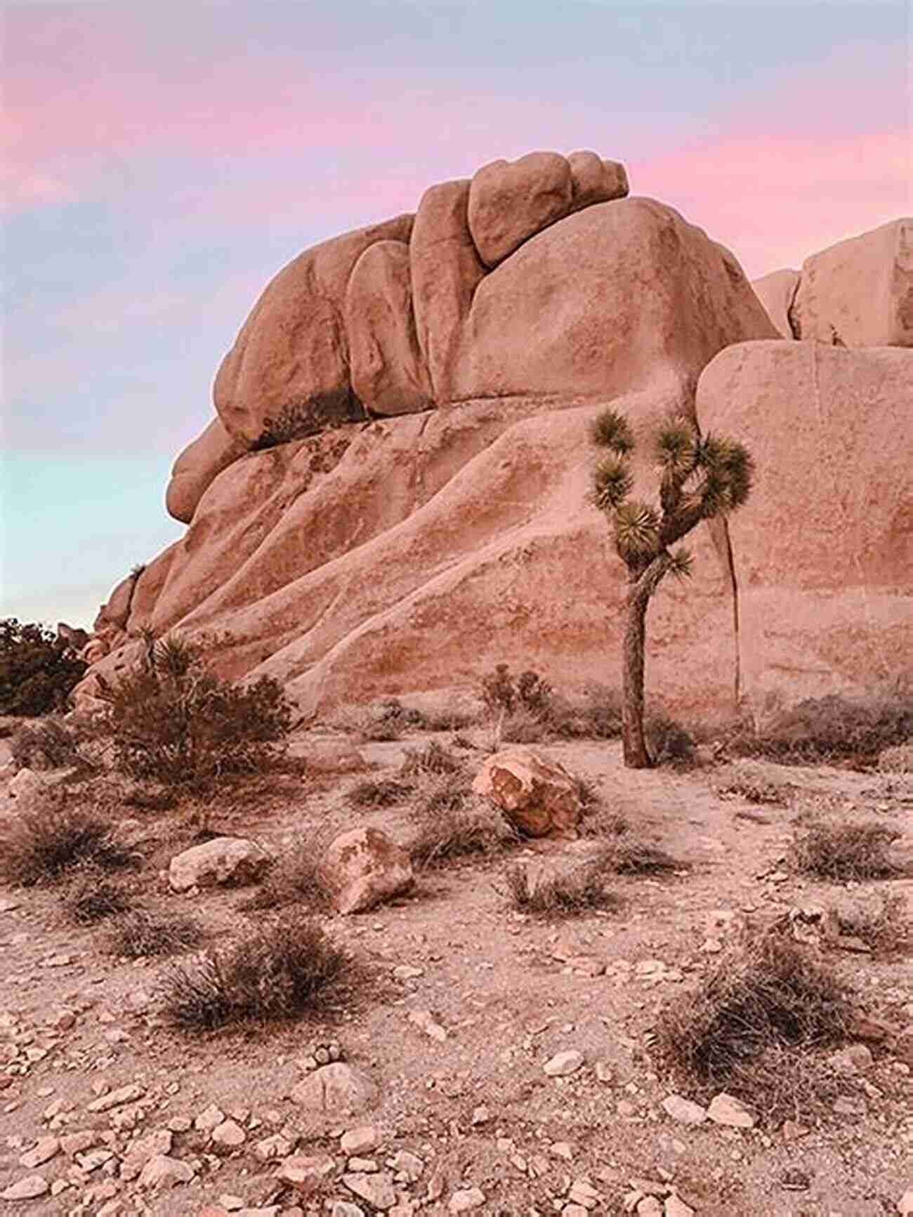 Joshua Tree National Park, California Surreal Desert Landscapes May To August 2021 Travel Diary: Ojai Joshua Tree Springville And Santa Barbara California May August 2021