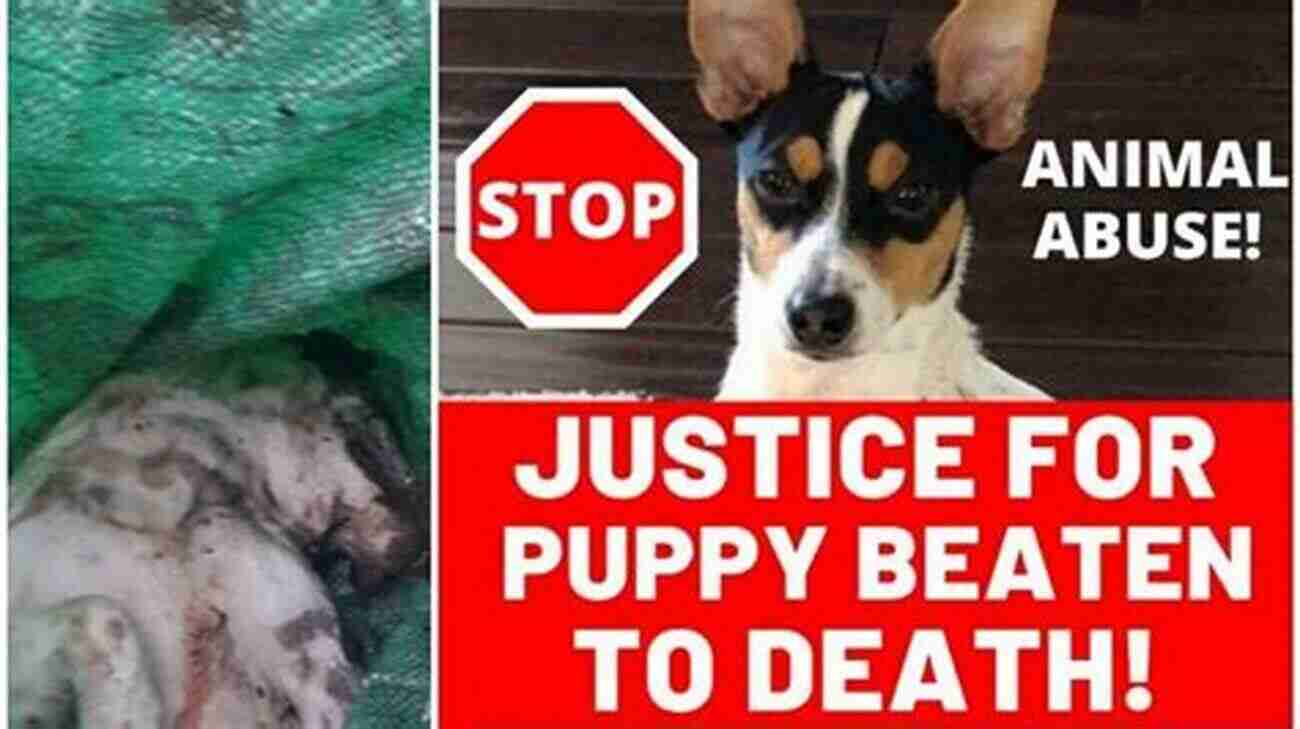 Justice For Puppies Puppy Killer Leave Town: A History Of Stop Huntingdon Animal Cruelty